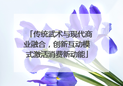 传统武术与现代商业融合，创新互动模式激活消费新动能