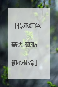 传承红色薪火 砥砺初心使命