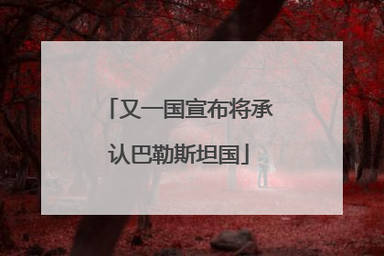 又一国宣布将承认巴勒斯坦国