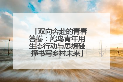 双向奔赴的青春答卷：鸬鸟青年用生态行动与思想碰撞书写乡村未来