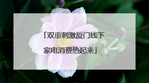 双重刺激厦门线下家电消费热起来