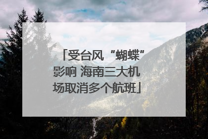 受台风“蝴蝶”影响 海南三大机场取消多个航班