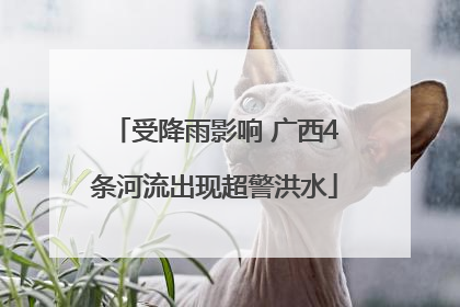 受降雨影响 广西4条河流出现超警洪水