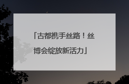 古都携手丝路！丝博会绽放新活力