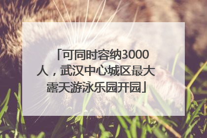 可同时容纳3000人，武汉中心城区最大露天游泳乐园开园