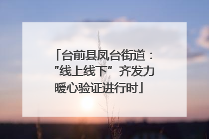 台前县凤台街道：“线上线下”齐发力 暖心验证进行时
