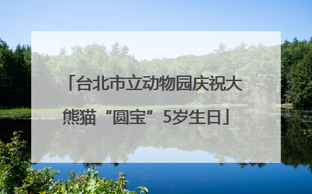 台北市立动物园庆祝大熊猫“圆宝”5岁生日