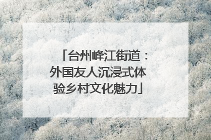 台州峰江街道：外国友人沉浸式体验乡村文化魅力