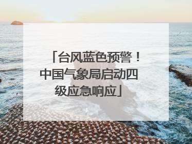 台风蓝色预警！中国气象局启动四级应急响应