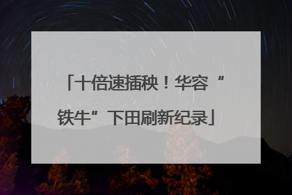 十倍速插秧！华容“铁牛”下田刷新纪录