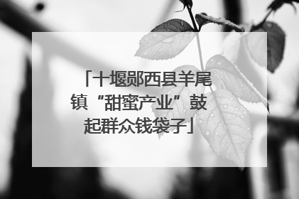 十堰郧西县羊尾镇“甜蜜产业”鼓起群众钱袋子