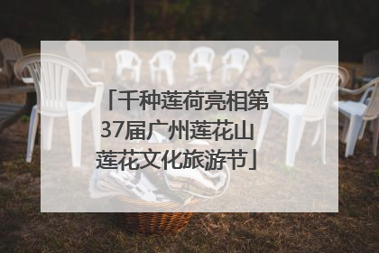 千种莲荷亮相第37届广州莲花山莲花文化旅游节