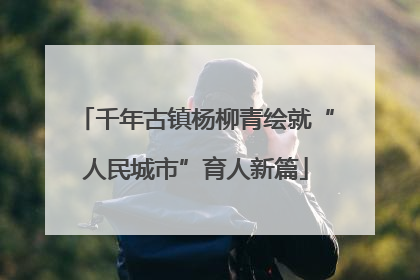 千年古镇杨柳青绘就“人民城市”育人新篇