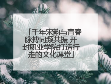 千年宋韵与青春脉搏同频共振 开封职业学院打造行走的文化课堂