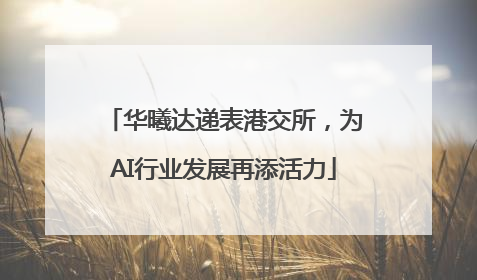华曦达递表港交所，为AI行业发展再添活力