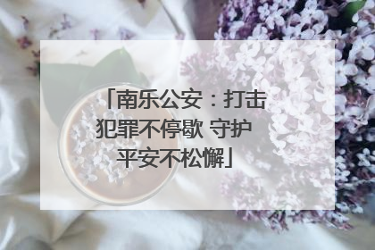南乐公安：打击犯罪不停歇 守护平安不松懈