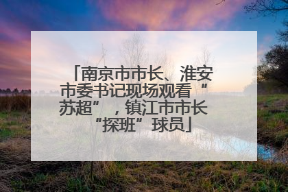 南京市市长、淮安市委书记现场观看“苏超”，镇江市市长“探班”球员