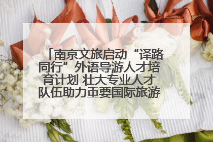 南京文旅启动“译路同行”外语导游人才培育计划 壮大专业人才队伍助力重要国际旅游目的地建设