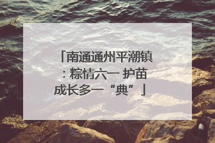 南通通州平潮镇：粽情六一 护苗成长多一“典”