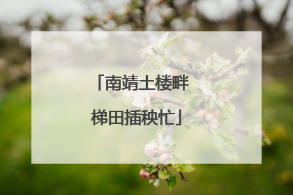 南靖土楼畔 梯田插秧忙