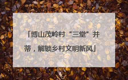 博山茂岭村“三堂”并蒂，解锁乡村文明新风