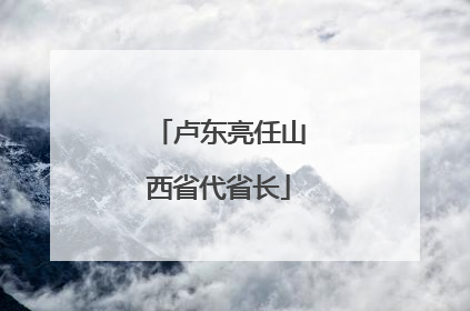 卢东亮任山西省代省长