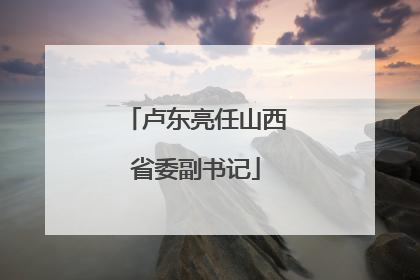 卢东亮任山西省委副书记