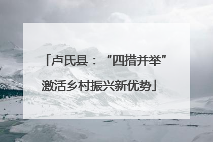 卢氏县：“四措并举”激活乡村振兴新优势