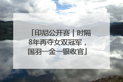 印尼公开赛｜时隔8年再夺女双冠军，国羽一金一银收官
