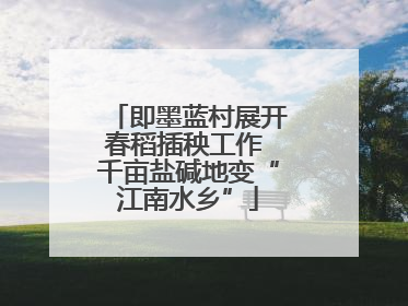 即墨蓝村展开春稻插秧工作 千亩盐碱地变“江南水乡”