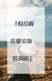 倪岳峰在雄安新区调研