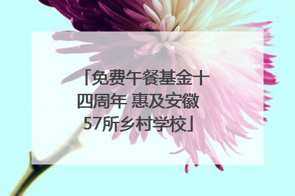 免费午餐基金十四周年 惠及安徽57所乡村学校