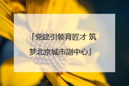 党建引领育匠才 筑梦北京城市副中心