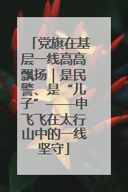 党旗在基层一线高高飘扬｜是民警、是“儿子”——申飞飞在太行山中的一线坚守
