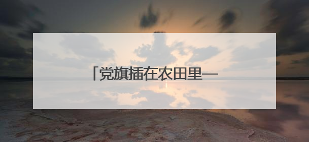 党旗插在农田里——潍柴雷沃守护大国粮安的红色密码