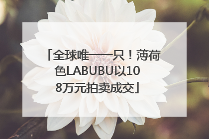全球唯一一只！薄荷色LABUBU以108万元拍卖成交