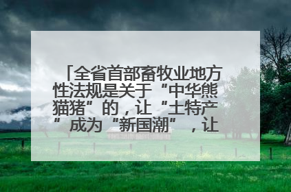 全省首部畜牧业地方性法规是关于“中华熊猫猪”的，让“土特产”成为“新国潮”，让“农产品”升格为“城市IP”