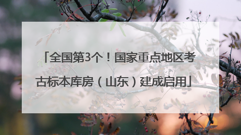 全国第3个！国家重点地区考古标本库房（山东）建成启用