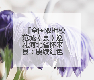 全国双拥模范城（县）巡礼河北省怀来县：赓续红色血脉 再创双拥新篇