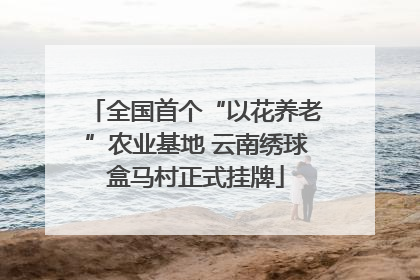 全国首个“以花养老”农业基地 云南绣球盒马村正式挂牌