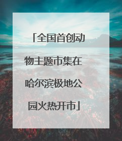 全国首创动物主题市集在哈尔滨极地公园火热开市