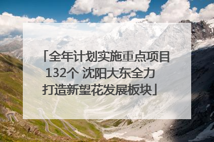 全年计划实施重点项目132个 沈阳大东全力打造新望花发展板块