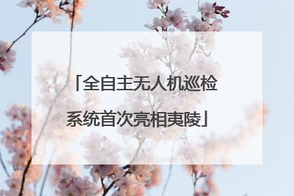 全自主无人机巡检系统首次亮相夷陵