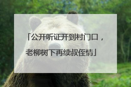 公开听证开到村门口，老柳树下再续叔侄情