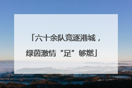 六十余队竞逐港城，绿茵激情“足”够燃