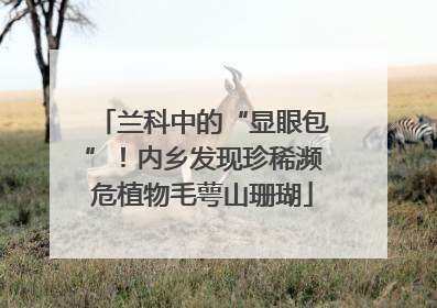 兰科中的“显眼包”！内乡发现珍稀濒危植物毛萼山珊瑚