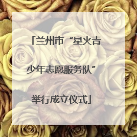 兰州市“星火青少年志愿服务队”举行成立仪式
