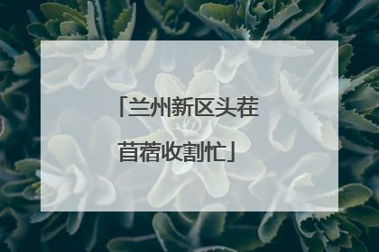 兰州新区头茬苜蓿收割忙