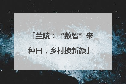 兰陵：“数智”来种田，乡村换新颜