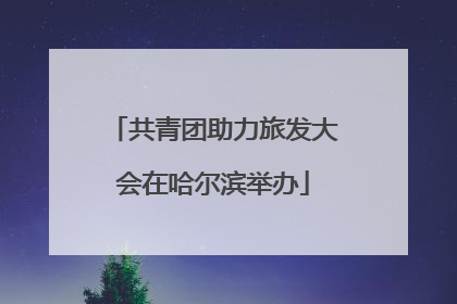 共青团助力旅发大会在哈尔滨举办